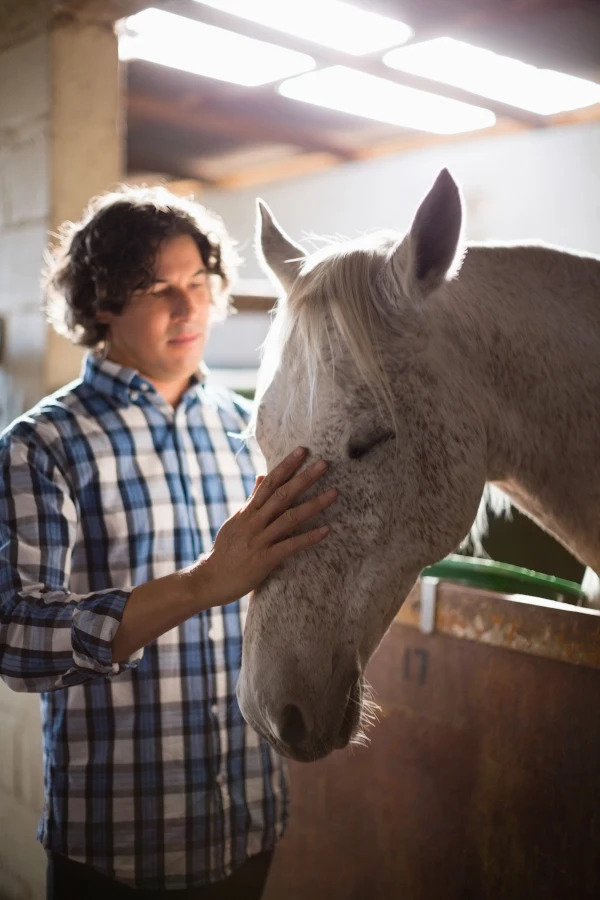 Optez pour le CBD pour chevaux : un soulagement naturel. Découvrez nos produits CBD spécialement conçus pour le bien-être équin.
