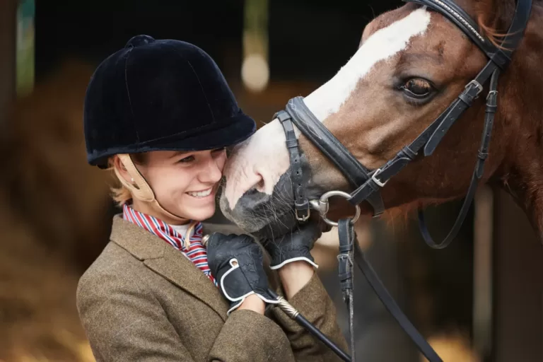 Une image évoquant le potentiel apaisant de l'huile de CBD pour les chevaux : un support naturel pour le bien-être équin.